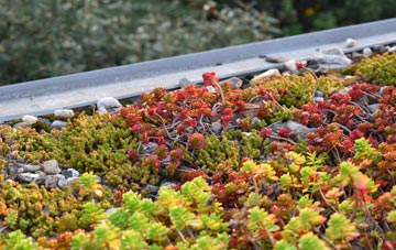 the cost of Asserby green roof installation