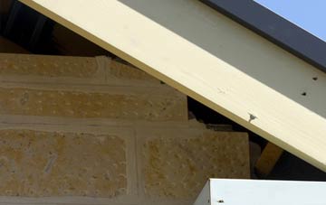 soffit repair Asserby