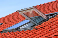 Asserby roof window